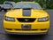 2004 Ford Mustang Premium Mach 1