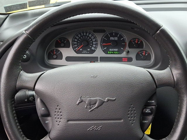 2004 Ford Mustang Premium Mach 1