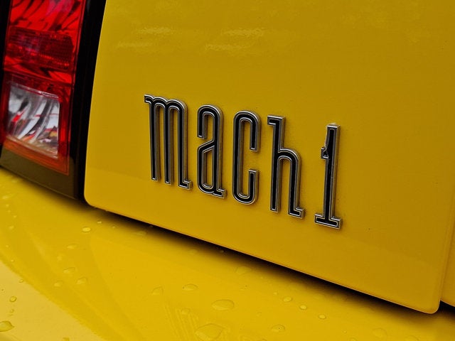 2004 Ford Mustang Premium Mach 1